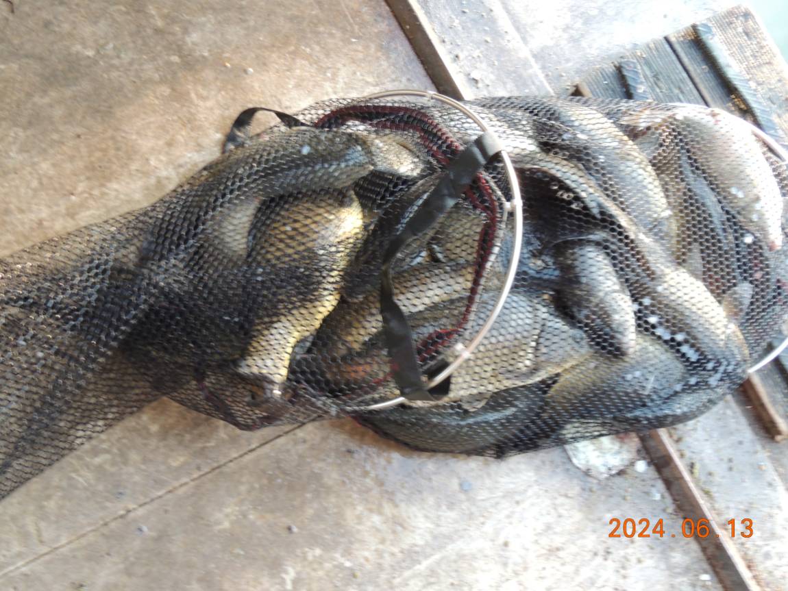 DSCN4118.JPG
