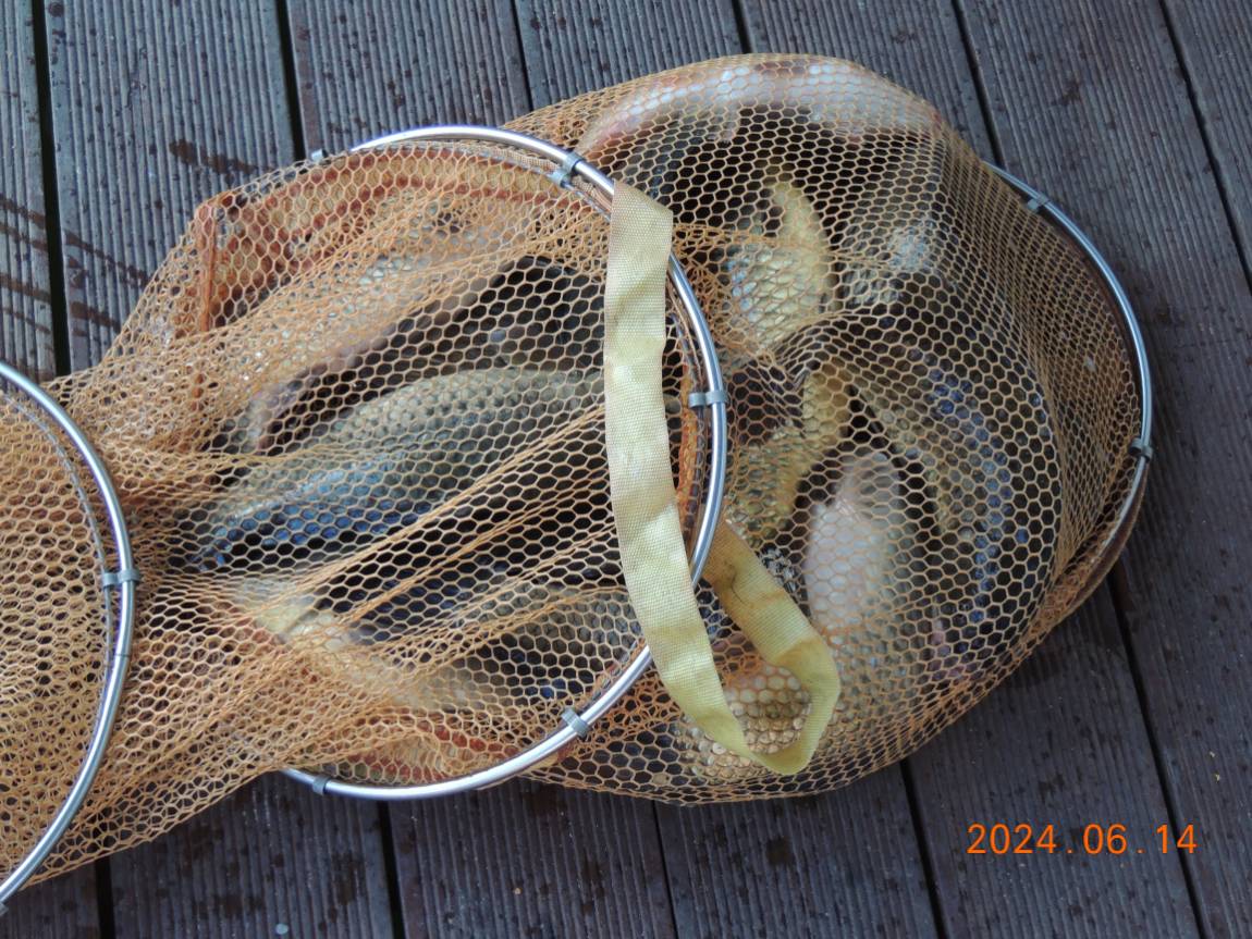 DSCN4142.JPG