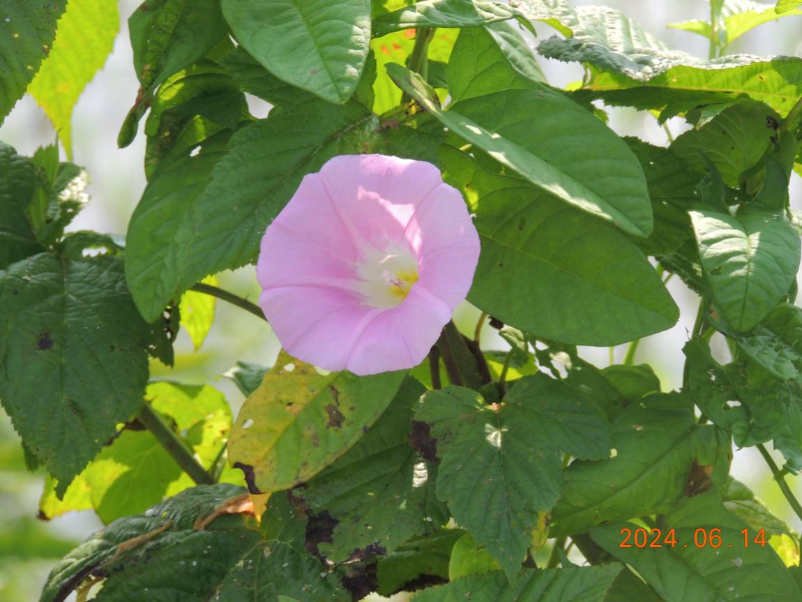DSCN4160.JPG