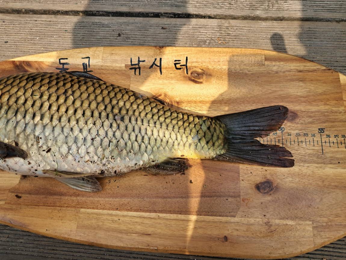 KakaoTalk_20240614_150521606_02 (1).jpg