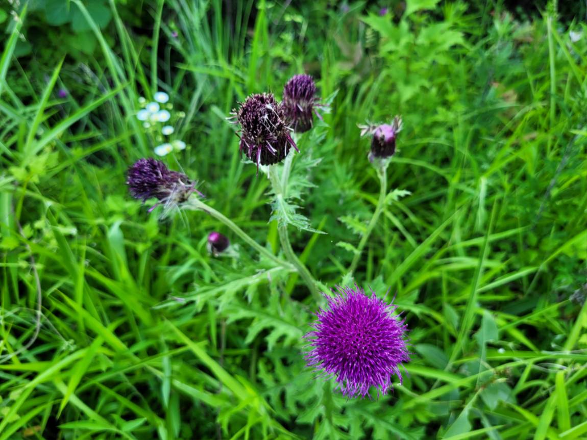 20240609_170203.jpg