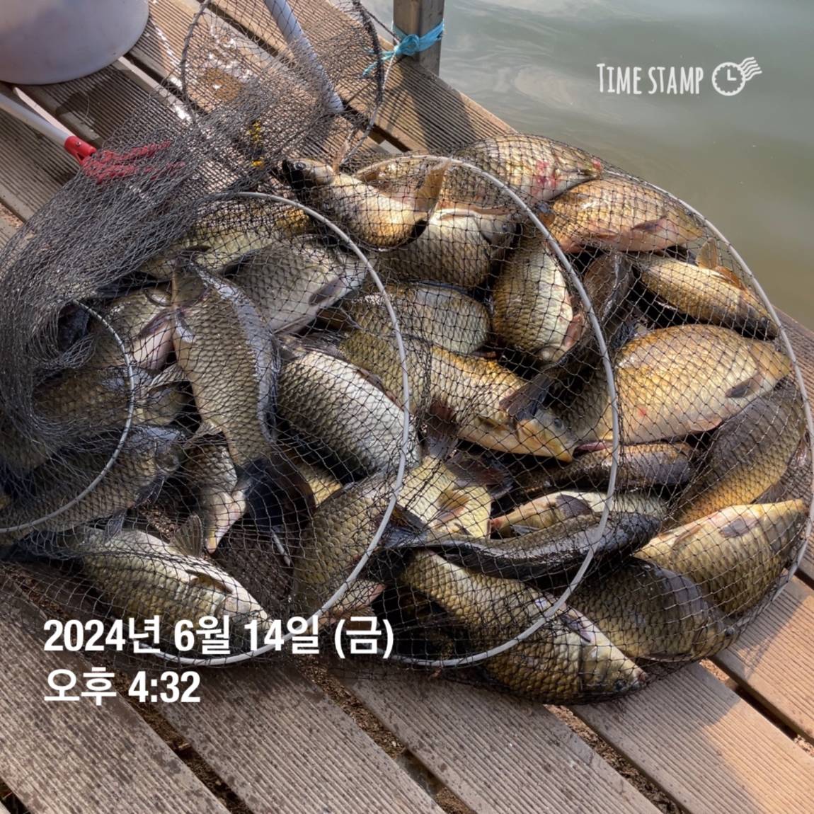 KakaoTalk_20240615_124542337_05.jpg