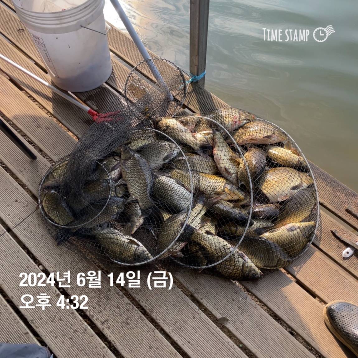 KakaoTalk_20240615_124542337_04.jpg