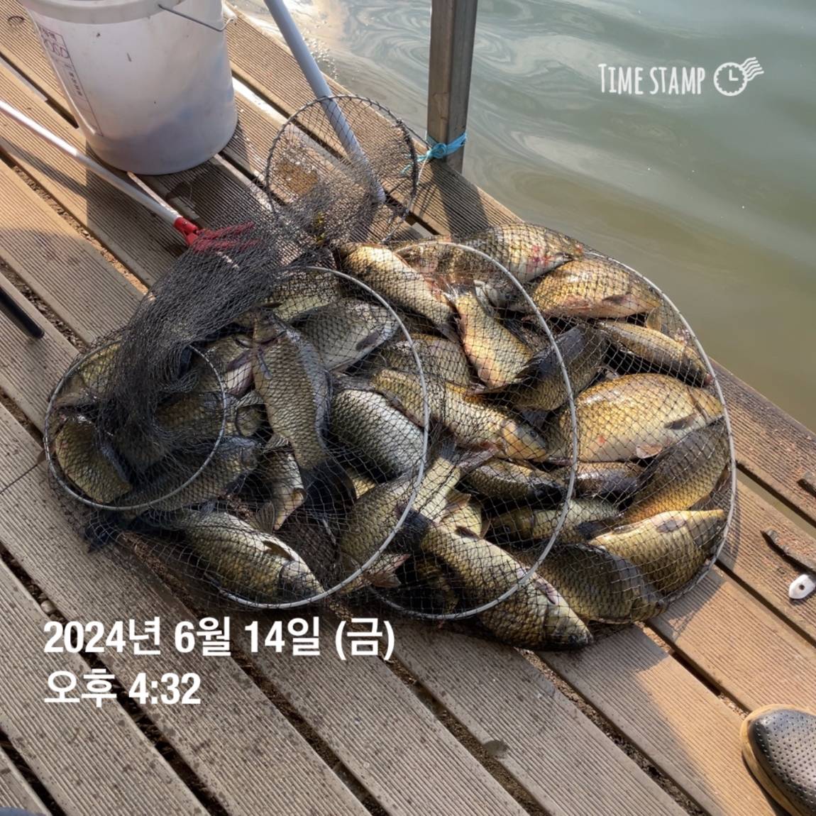 KakaoTalk_20240615_124542337_03.jpg