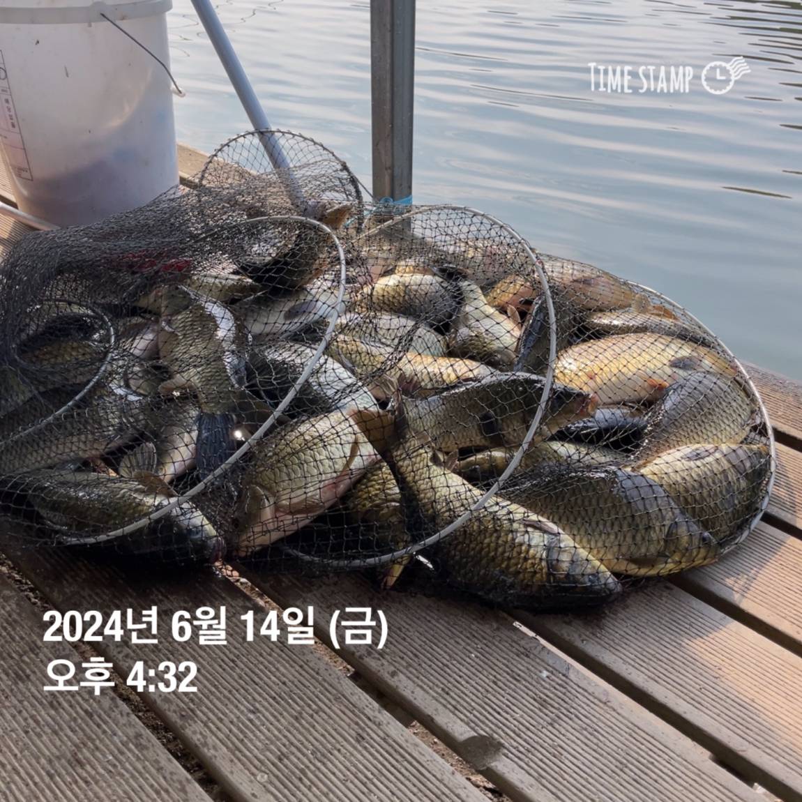 KakaoTalk_20240615_124542337_06.jpg