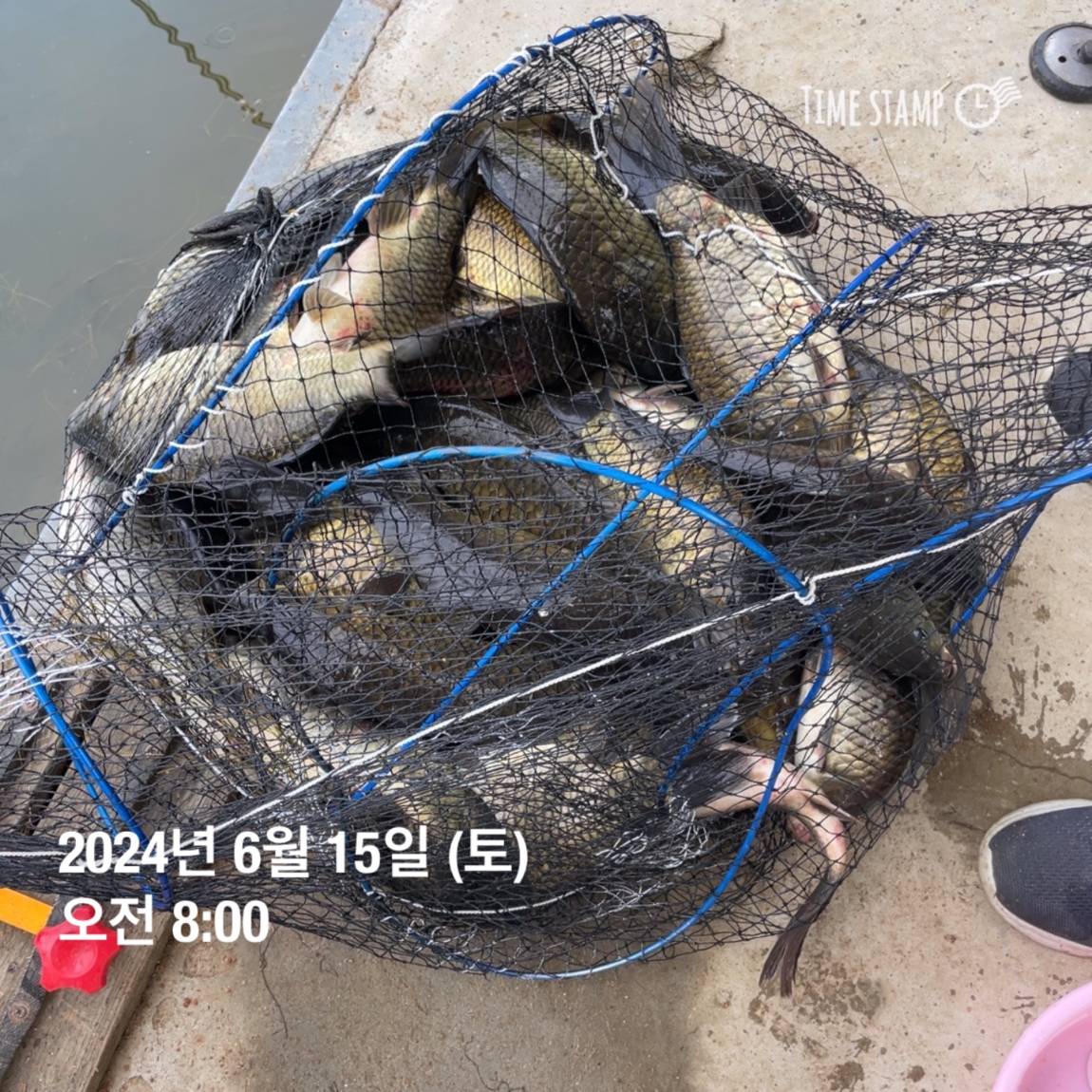 KakaoTalk_20240615_124542337_09.jpg