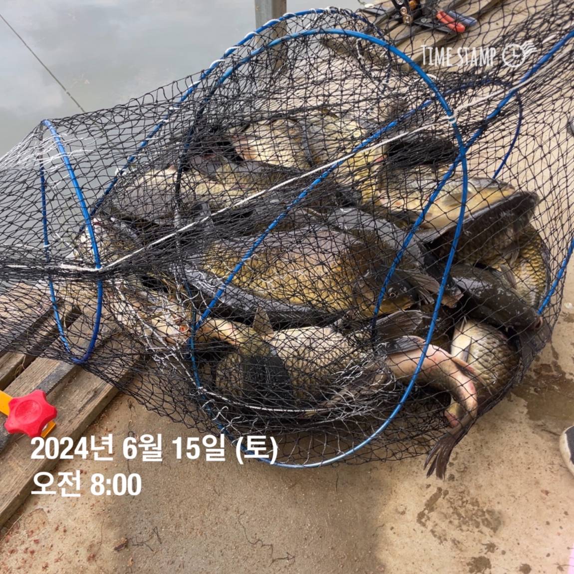 KakaoTalk_20240615_124542337_11.jpg