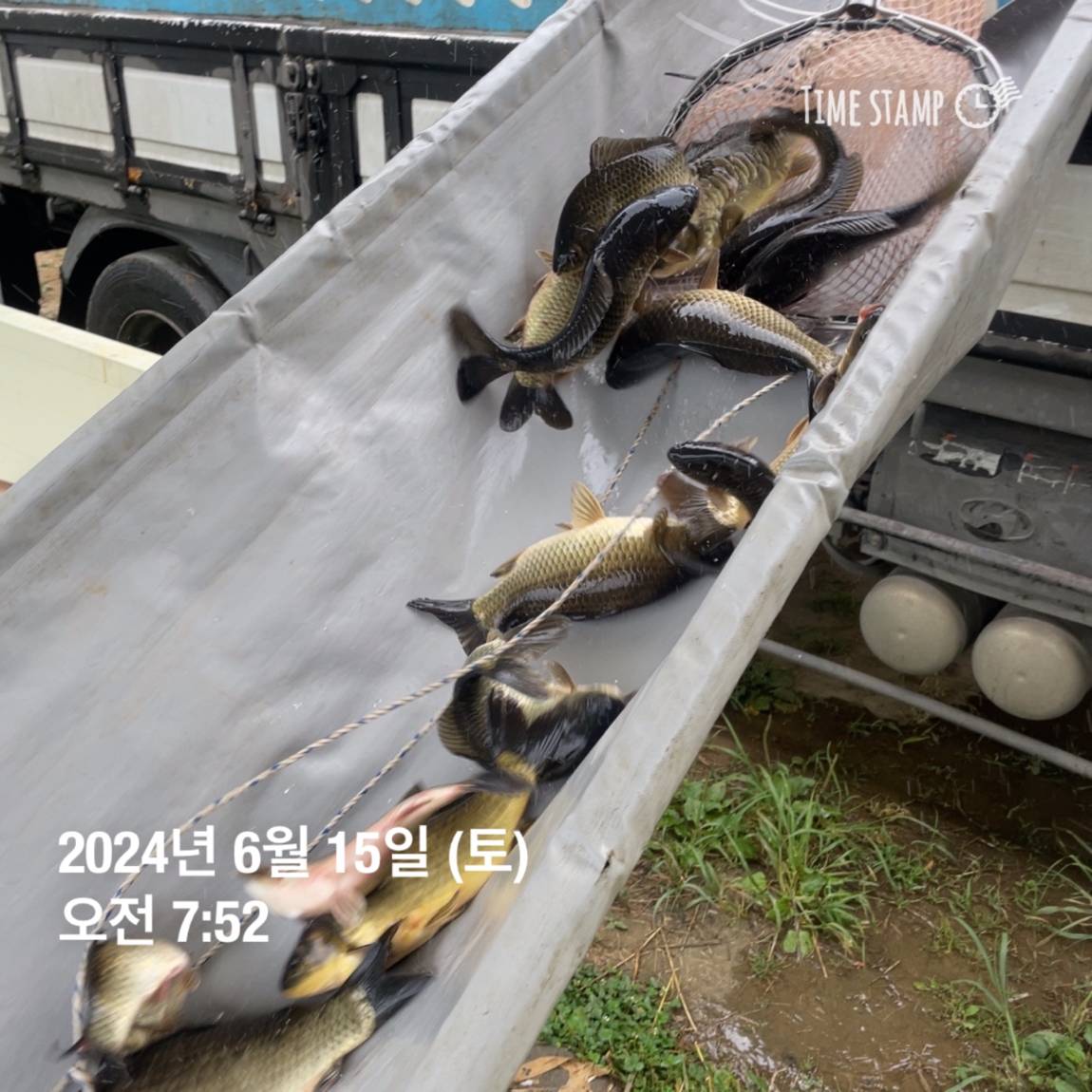 KakaoTalk_20240615_124542337_17.jpg