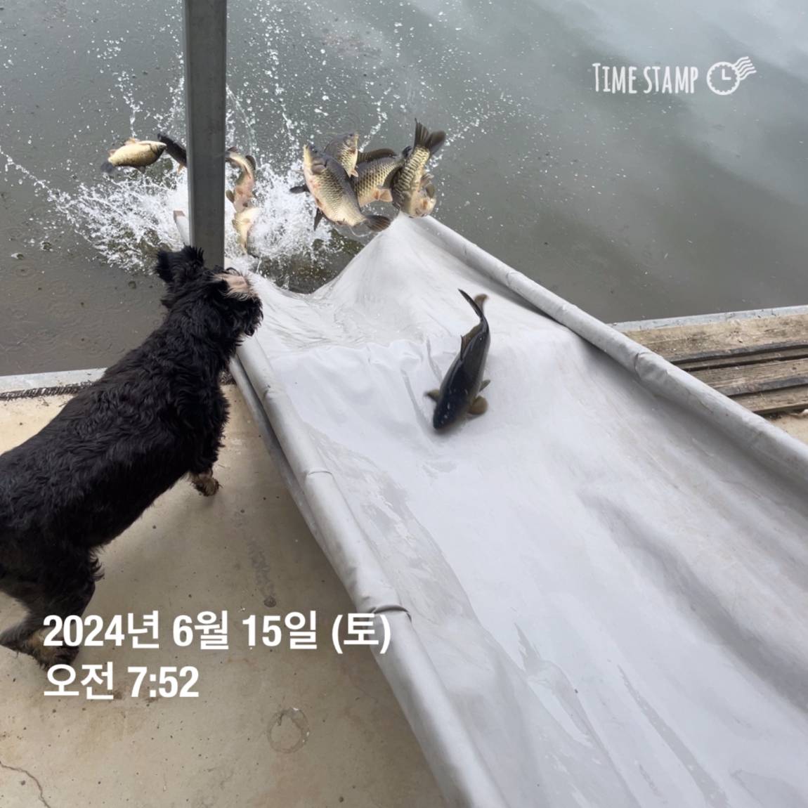 KakaoTalk_20240615_124542337_18.jpg