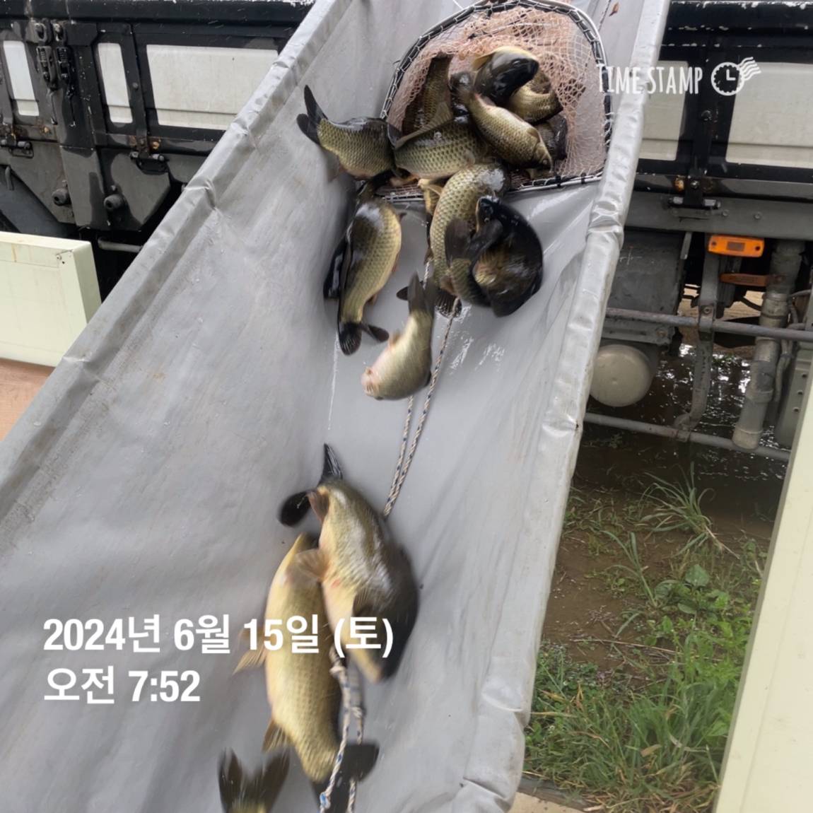 KakaoTalk_20240615_124542337_20.jpg