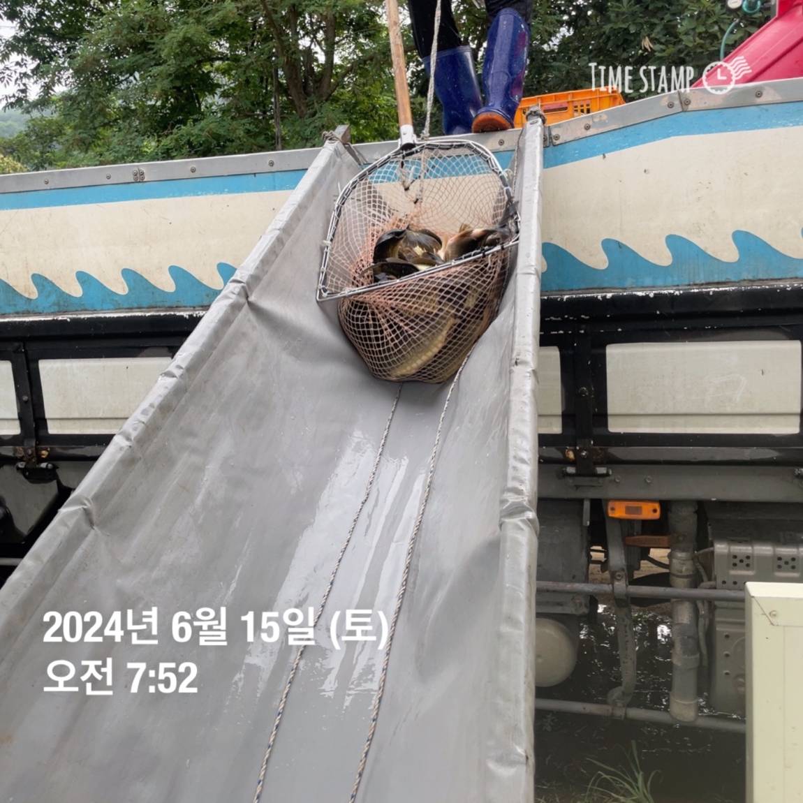 KakaoTalk_20240615_124542337_19.jpg