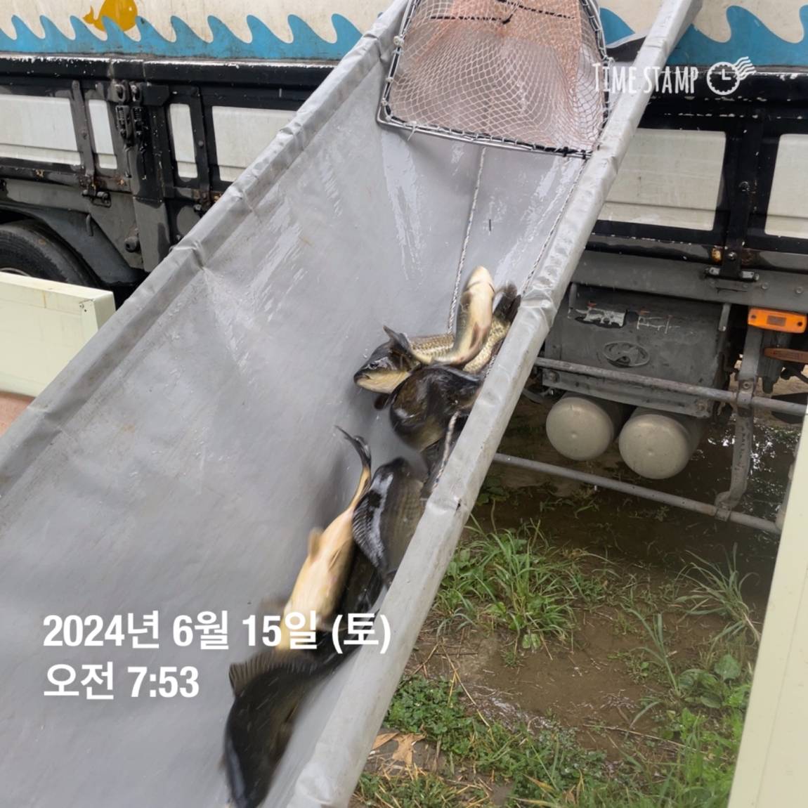 KakaoTalk_20240615_124542337_23.jpg