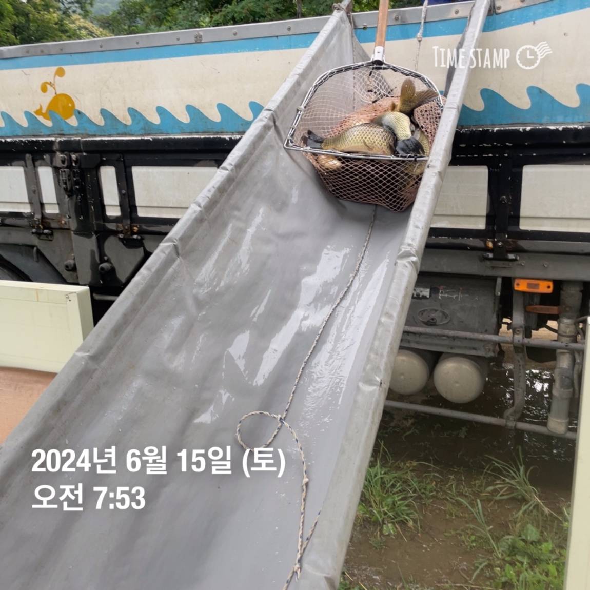 KakaoTalk_20240615_124542337_27.jpg