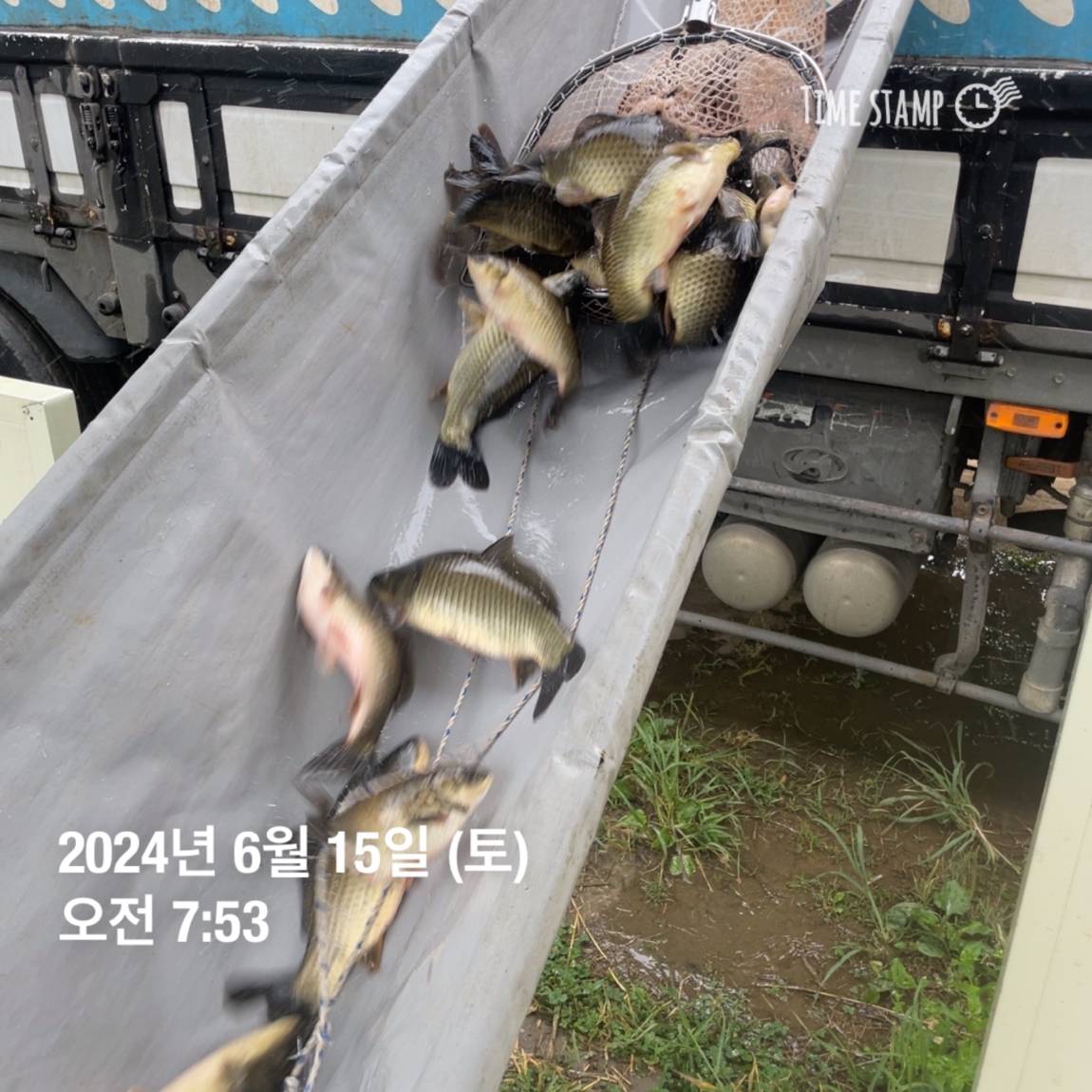 KakaoTalk_20240615_124542337_25.jpg