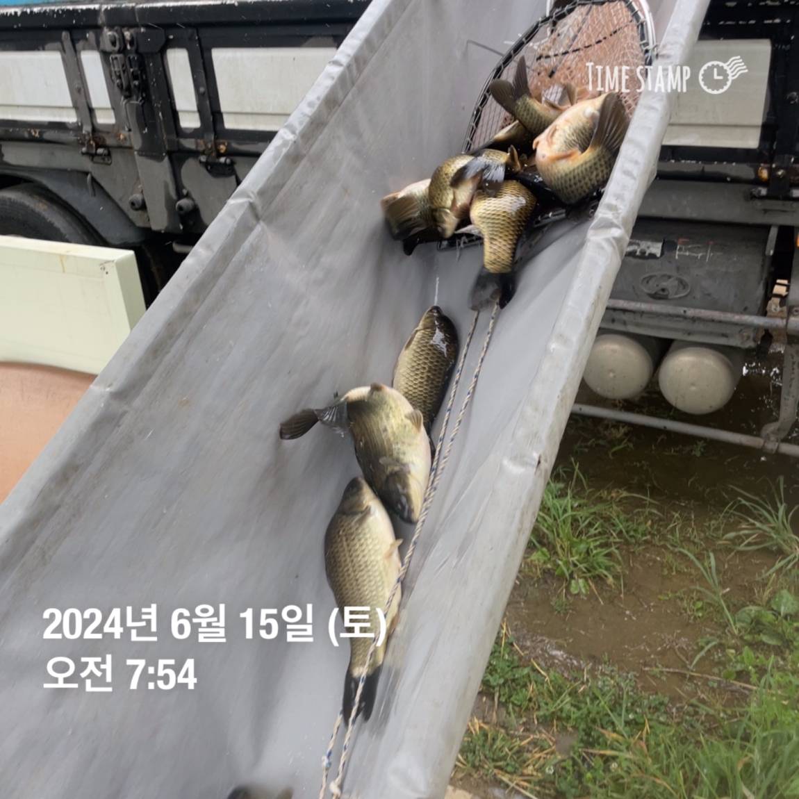 KakaoTalk_20240615_124623990_05.jpg