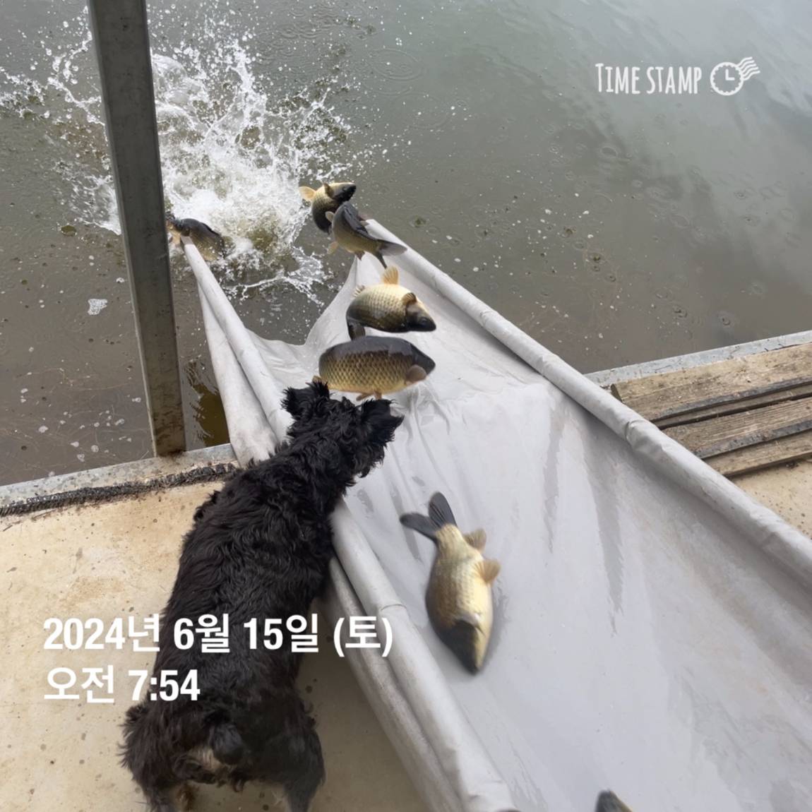 KakaoTalk_20240615_124623990_06.jpg
