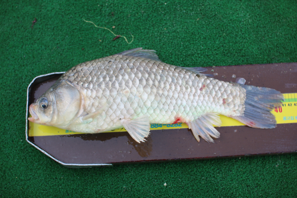 [ũ⺯ȯ]IMG_3937.JPG