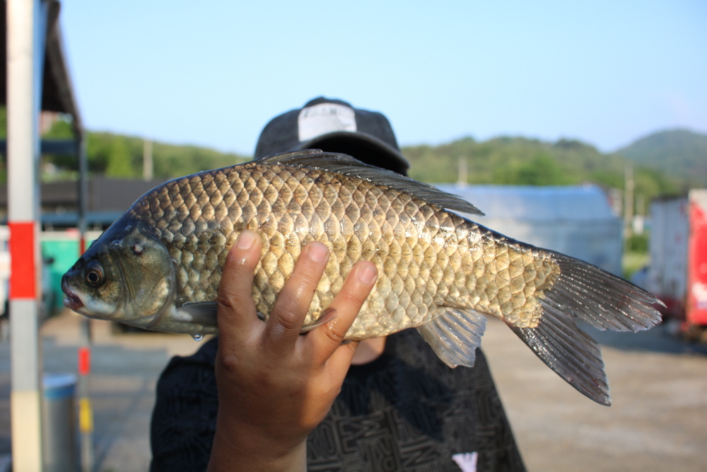 [ũ⺯ȯ]IMG_3886.JPG