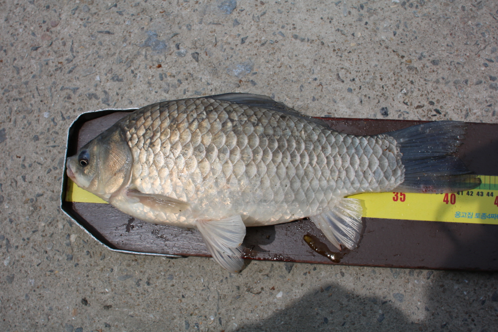 [ũ⺯ȯ]IMG_3858.JPG