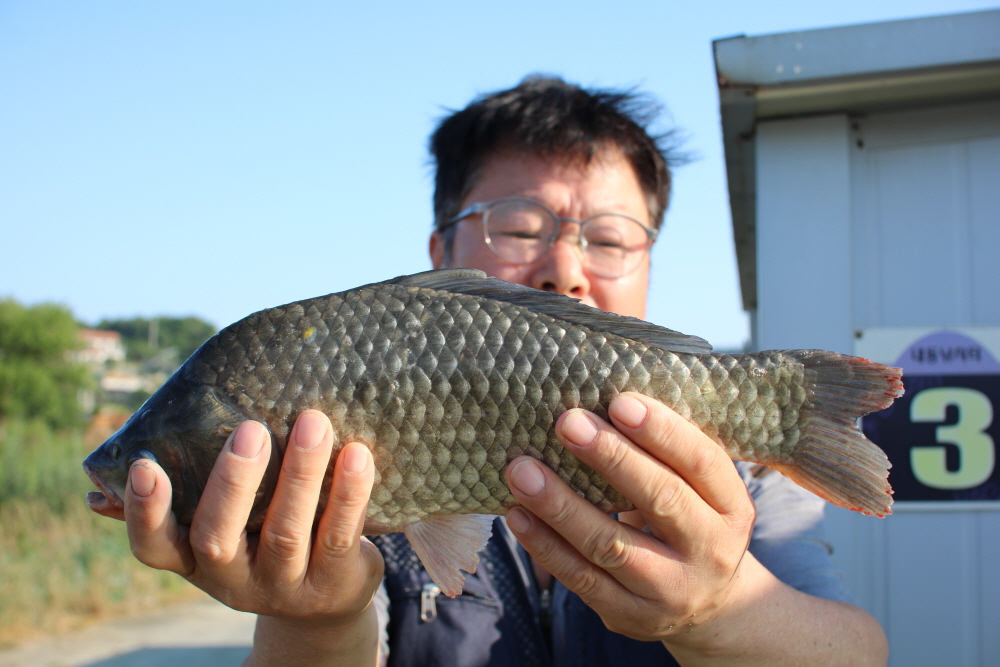 [ũ⺯ȯ]IMG_3896.JPG