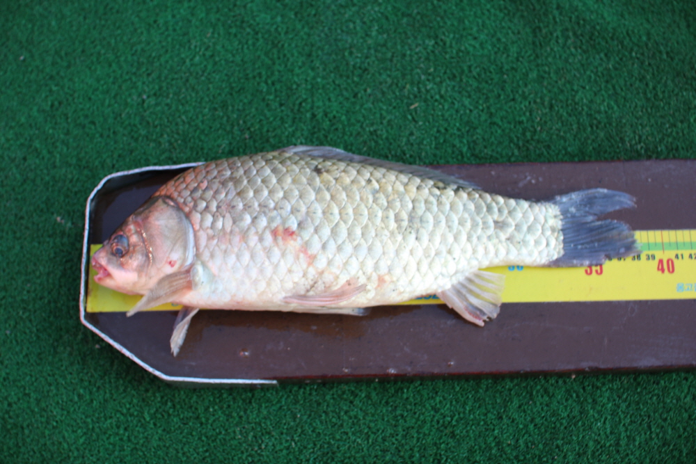 [ũ⺯ȯ]IMG_3899.JPG