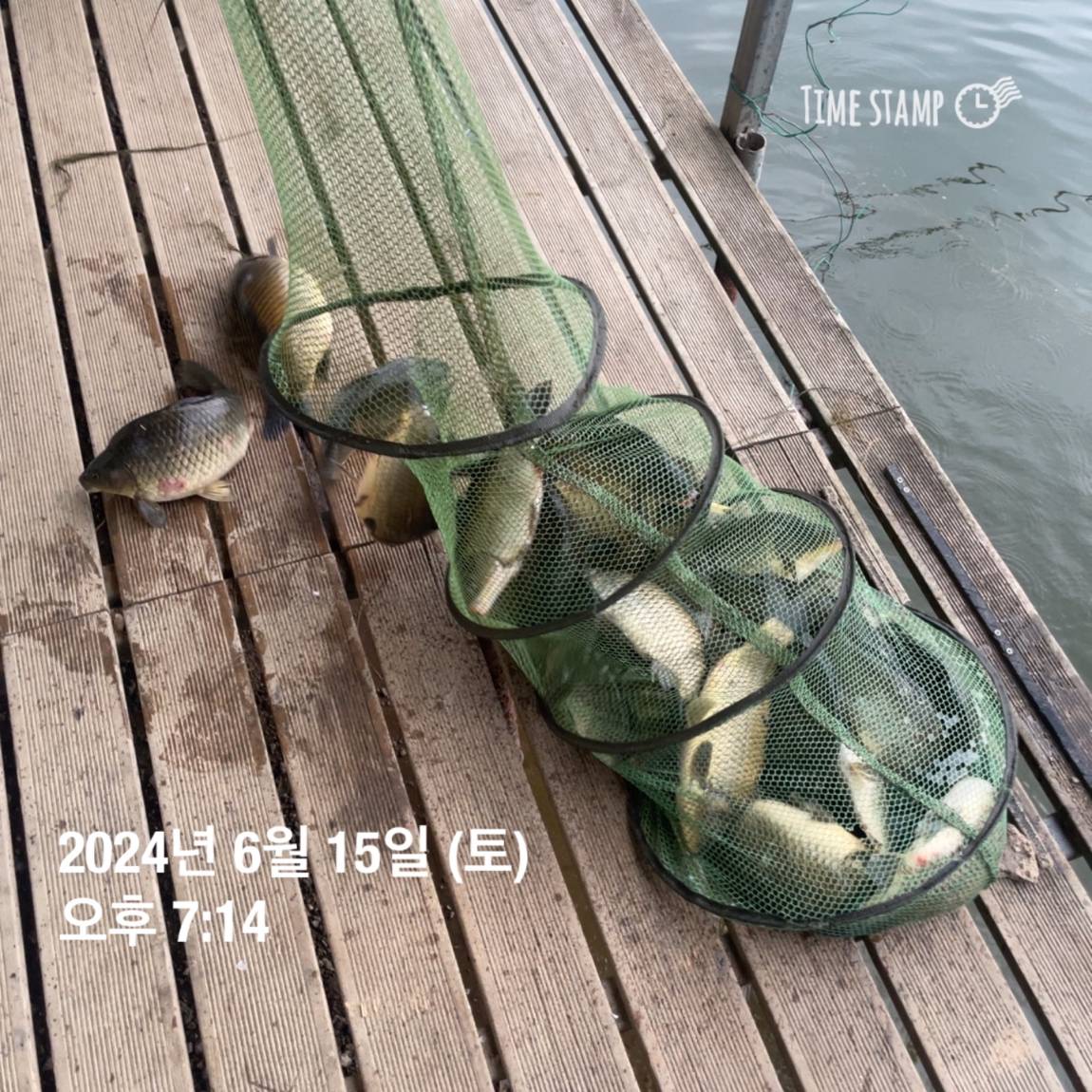 KakaoTalk_20240616_130009343_03.jpg