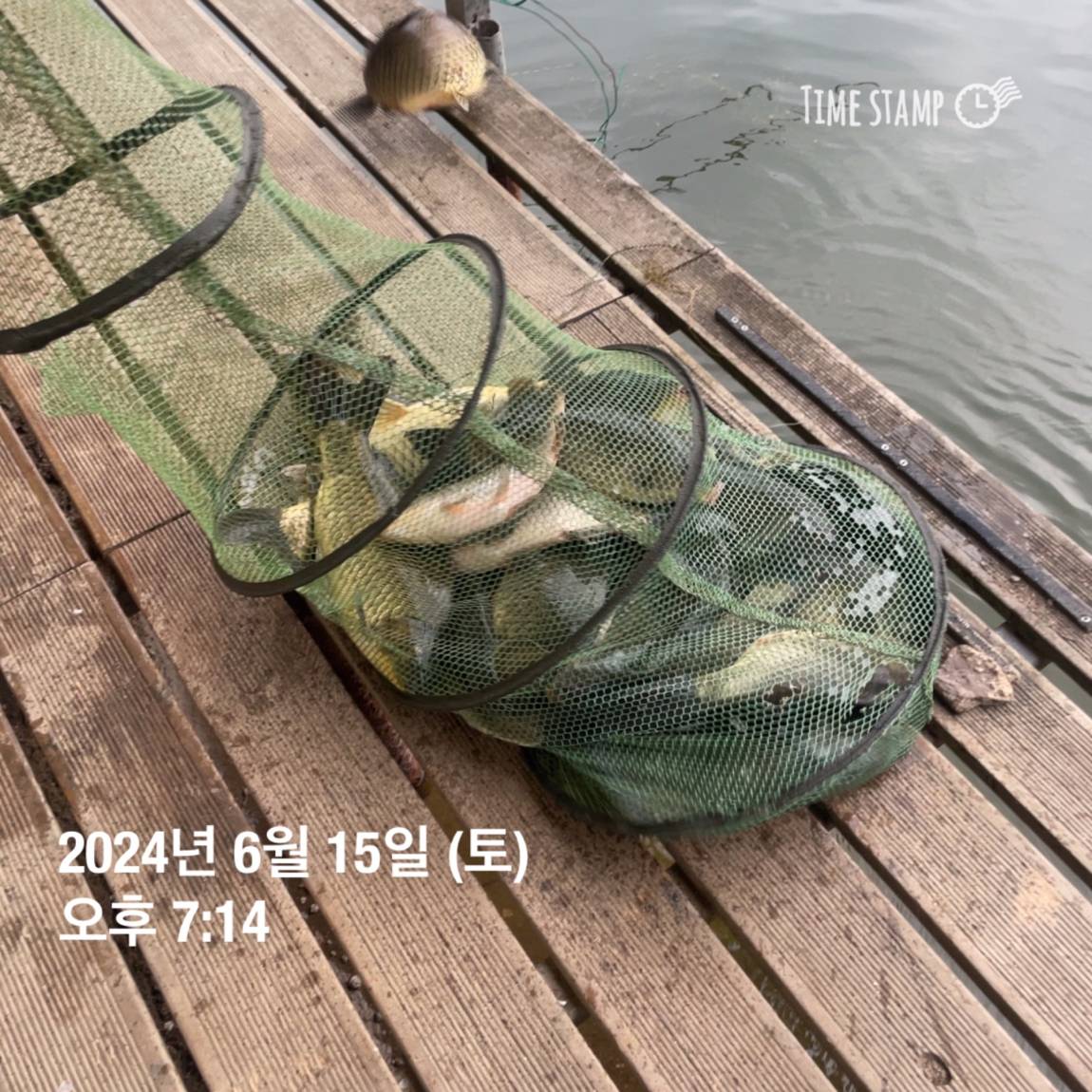 KakaoTalk_20240616_130009343_05.jpg