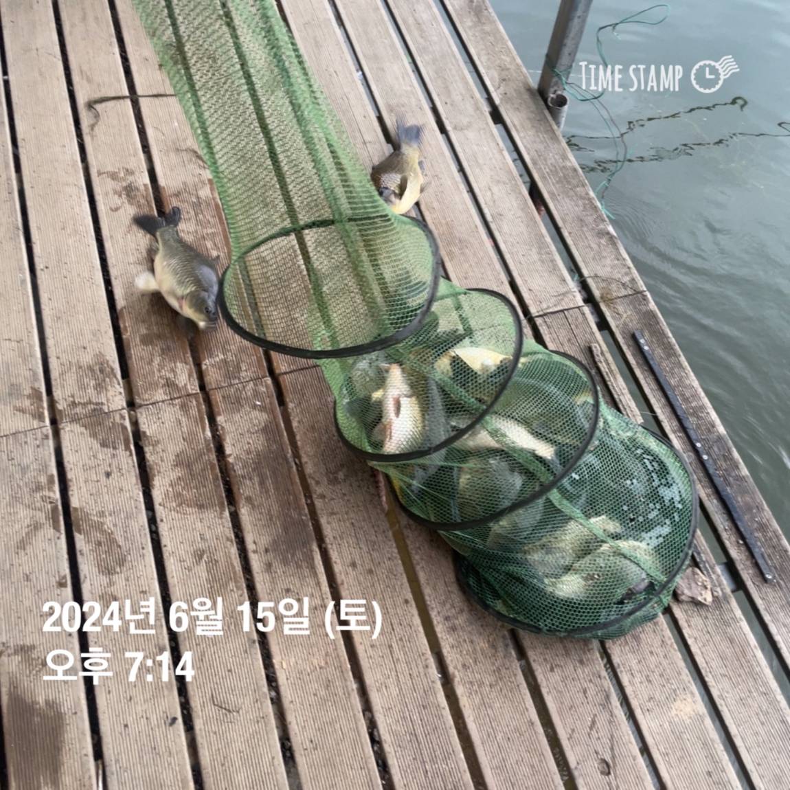 KakaoTalk_20240616_130009343_04.jpg