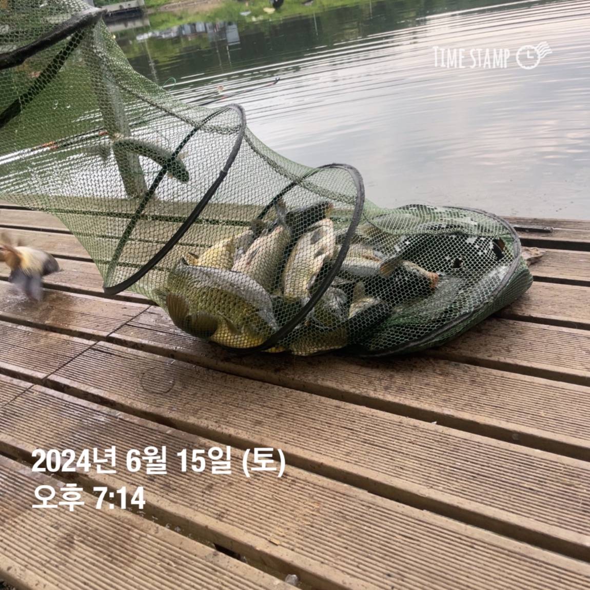 KakaoTalk_20240616_130009343_06.jpg