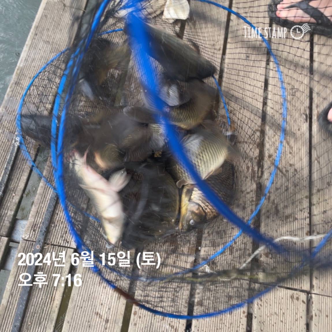 KakaoTalk_20240616_130009343_09.jpg