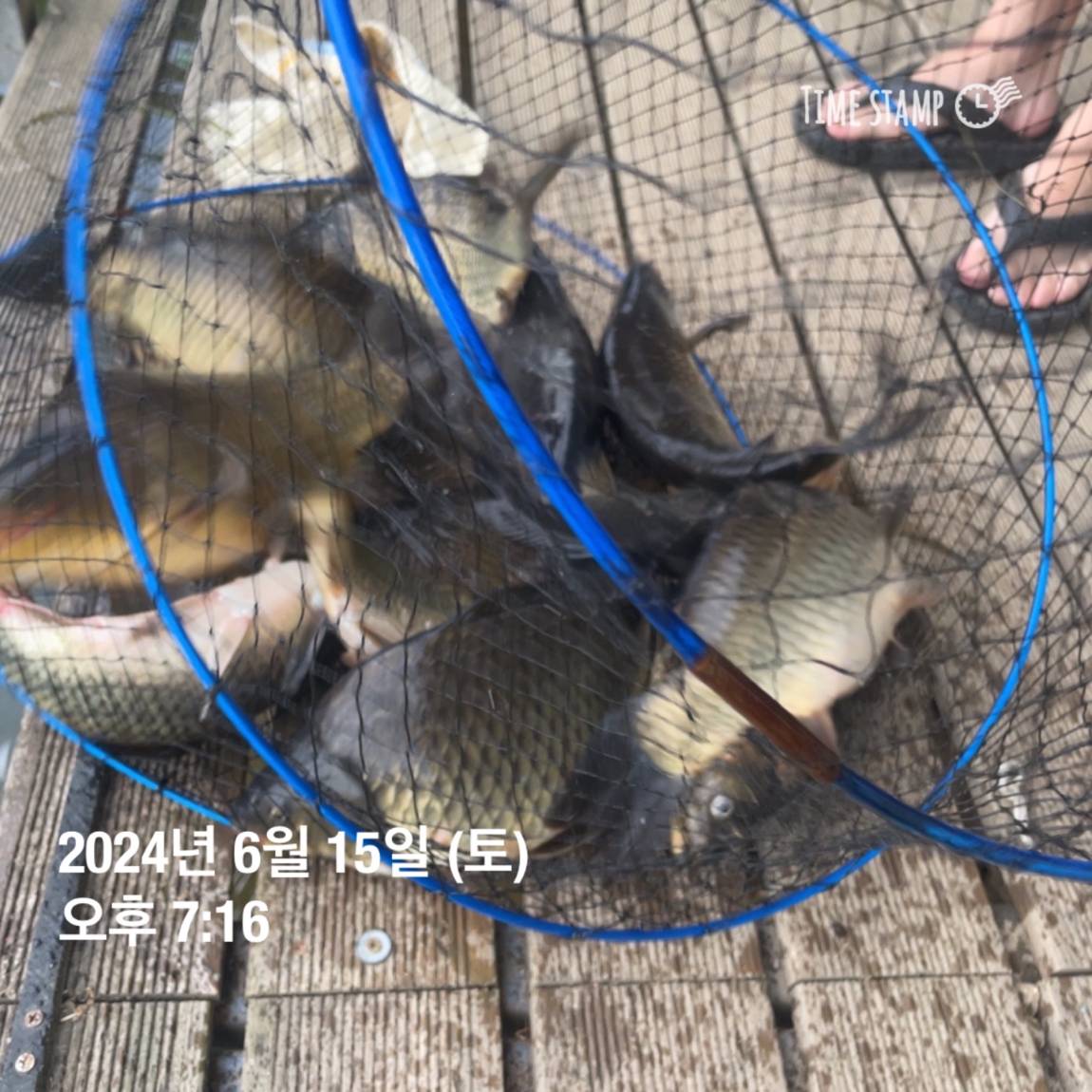 KakaoTalk_20240616_130009343_10.jpg