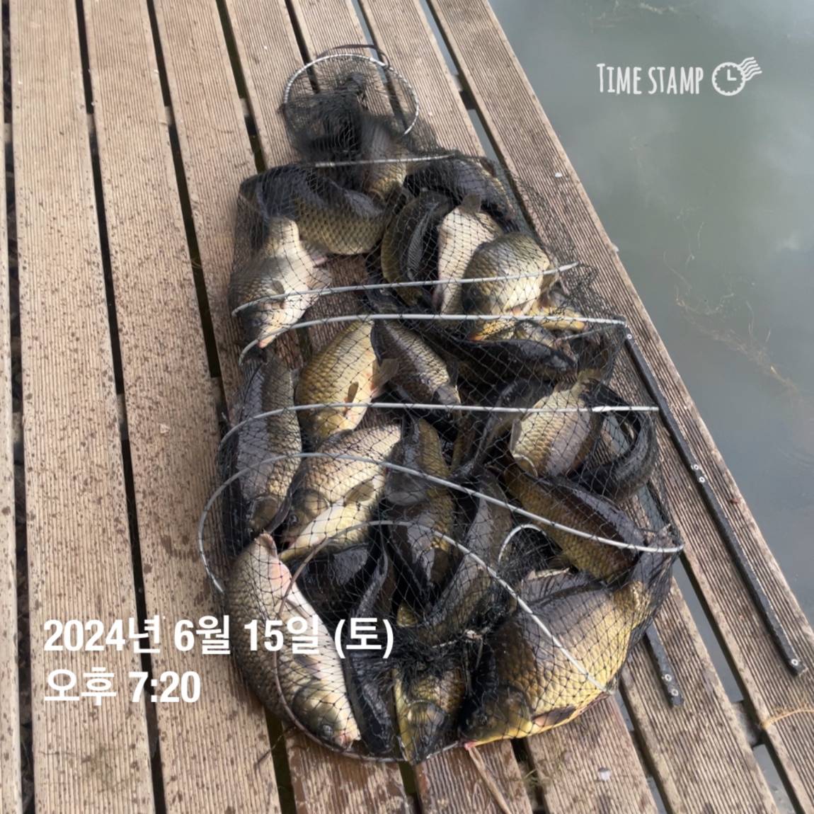 KakaoTalk_20240616_130009343_17.jpg