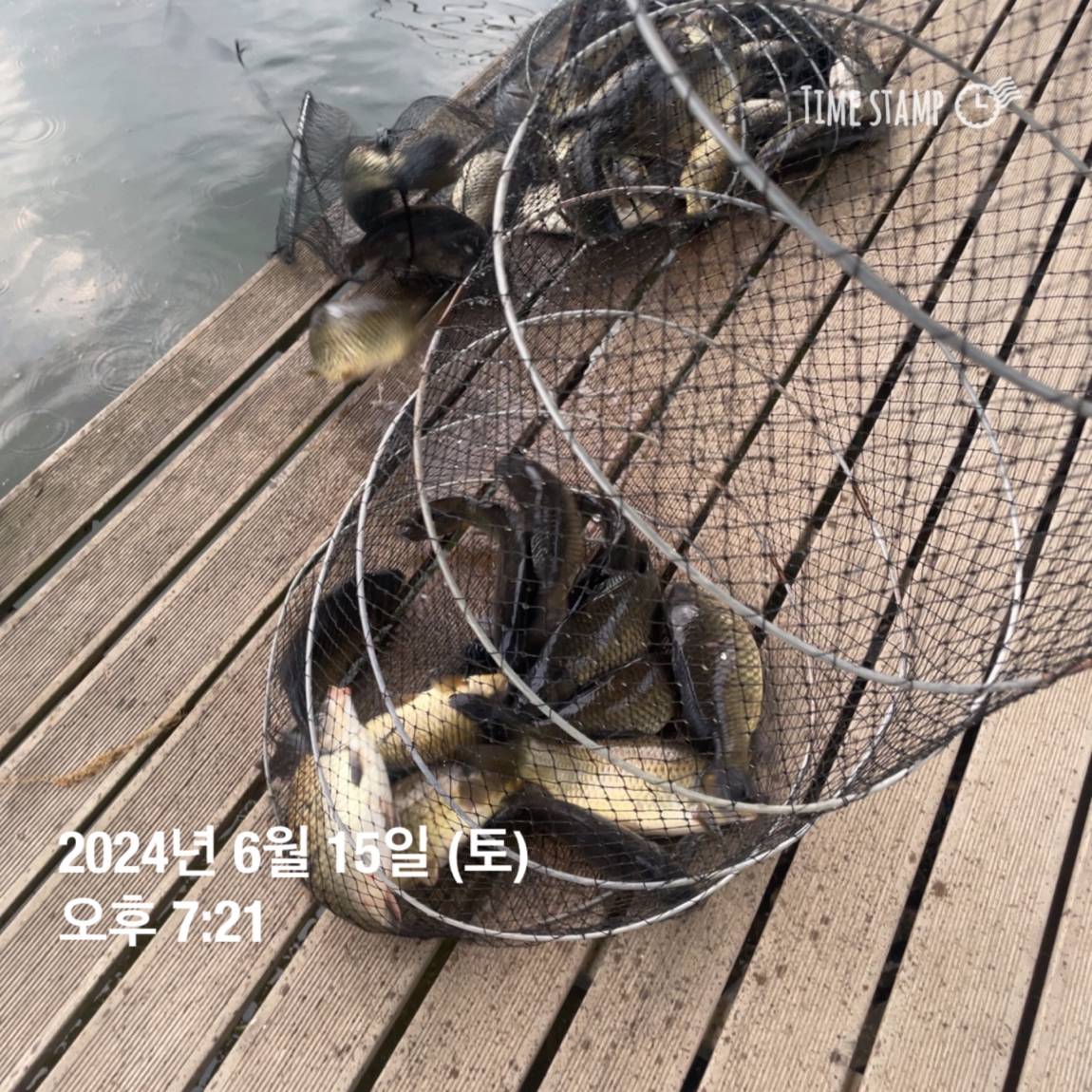 KakaoTalk_20240616_130009343_18.jpg