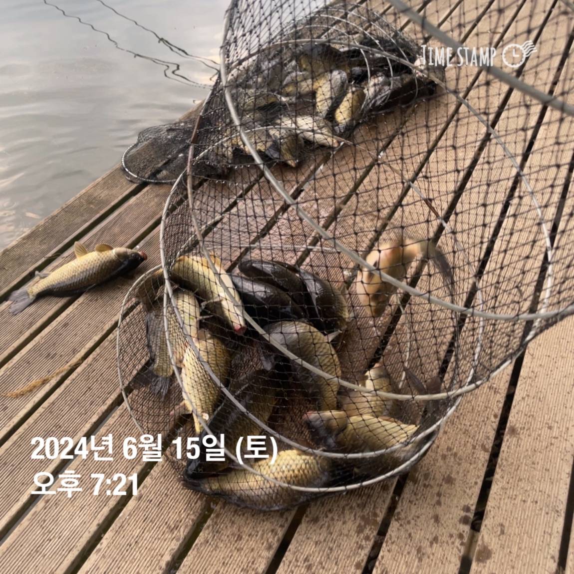 KakaoTalk_20240616_130009343_20.jpg