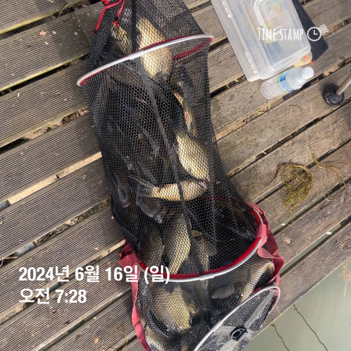 KakaoTalk_20240616_130009343_24.jpg