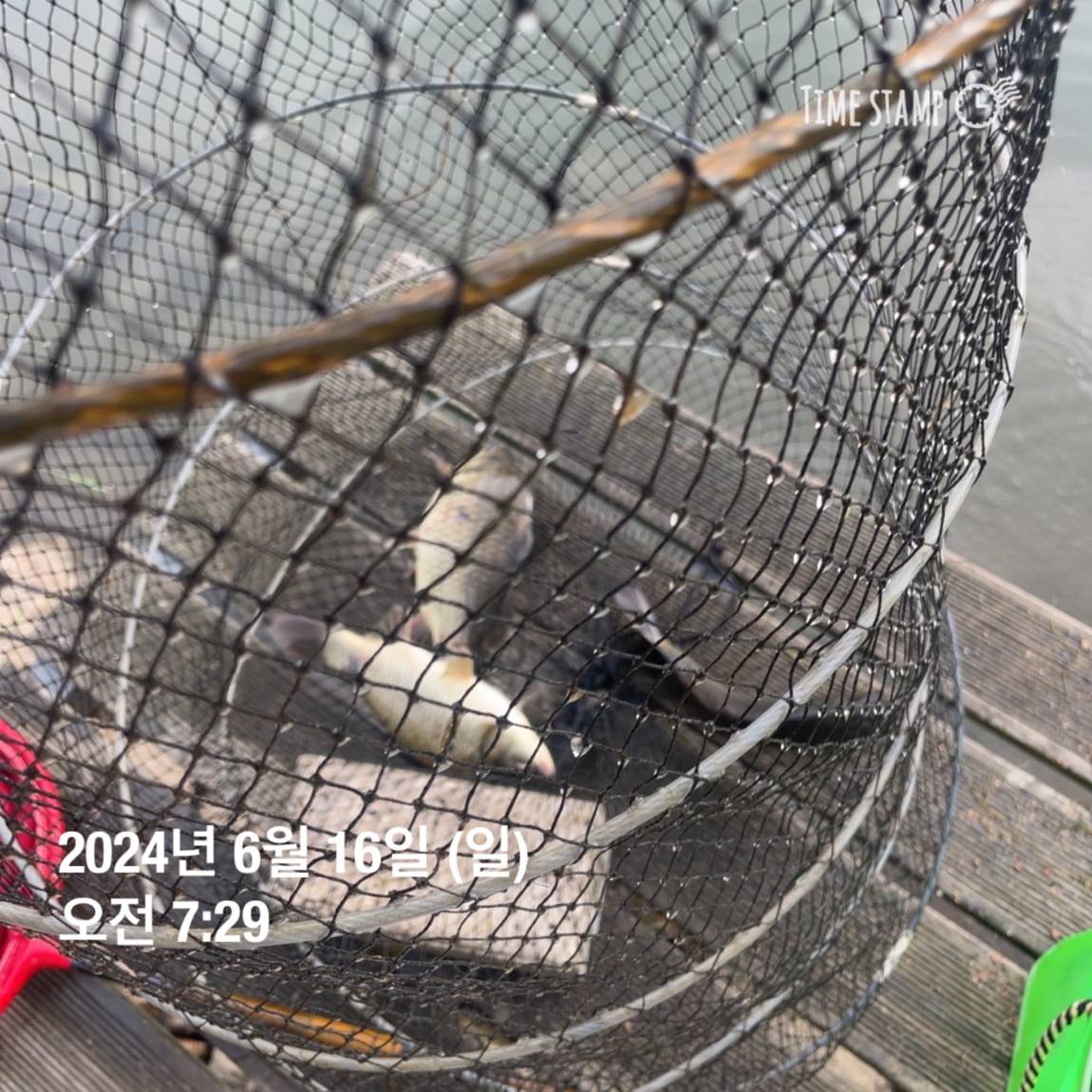 KakaoTalk_20240616_130009343_29.jpg