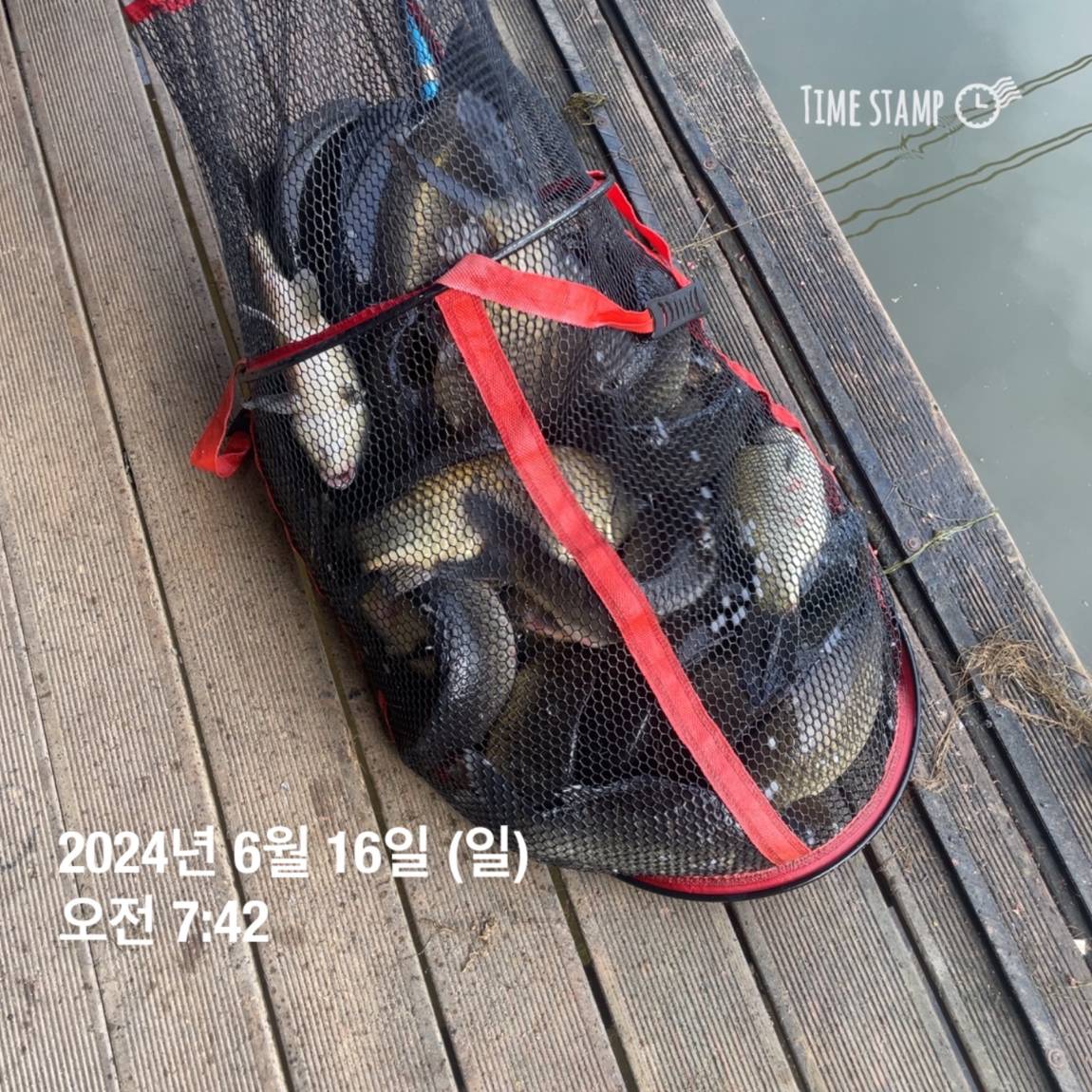 KakaoTalk_20240616_130341828_03.jpg
