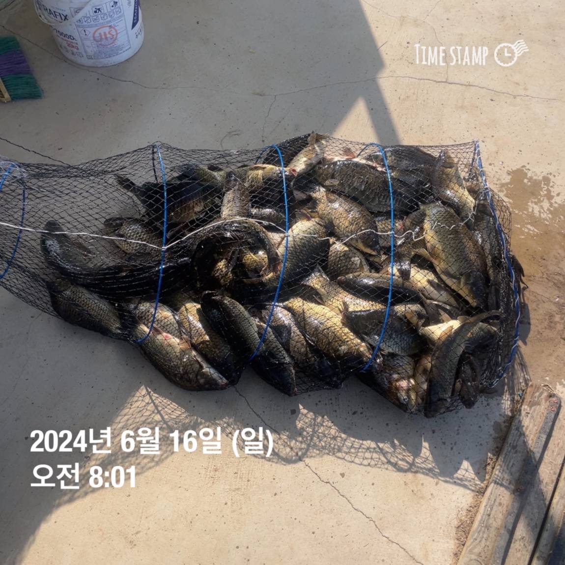 KakaoTalk_20240616_130341828_08.jpg