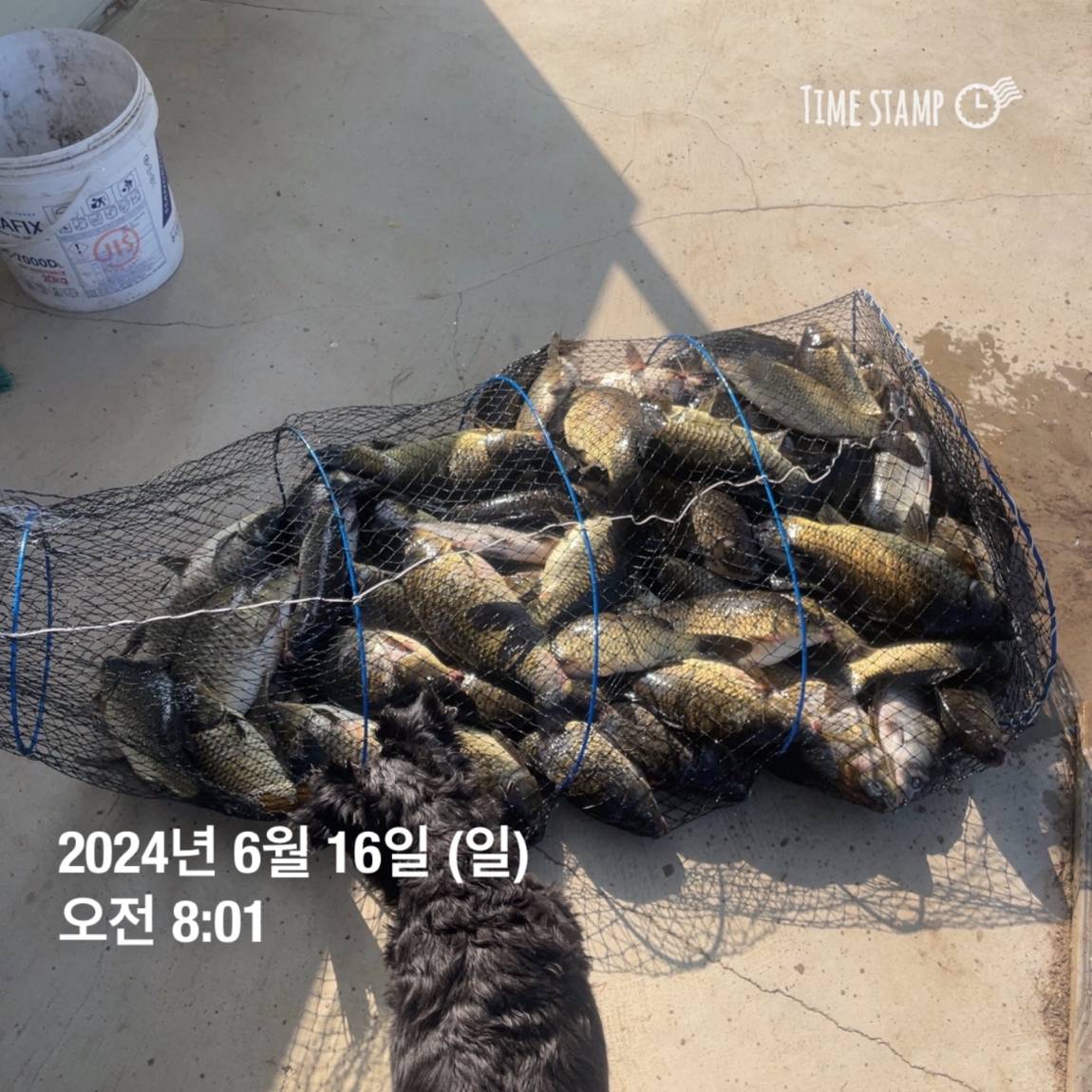KakaoTalk_20240616_130341828_11.jpg