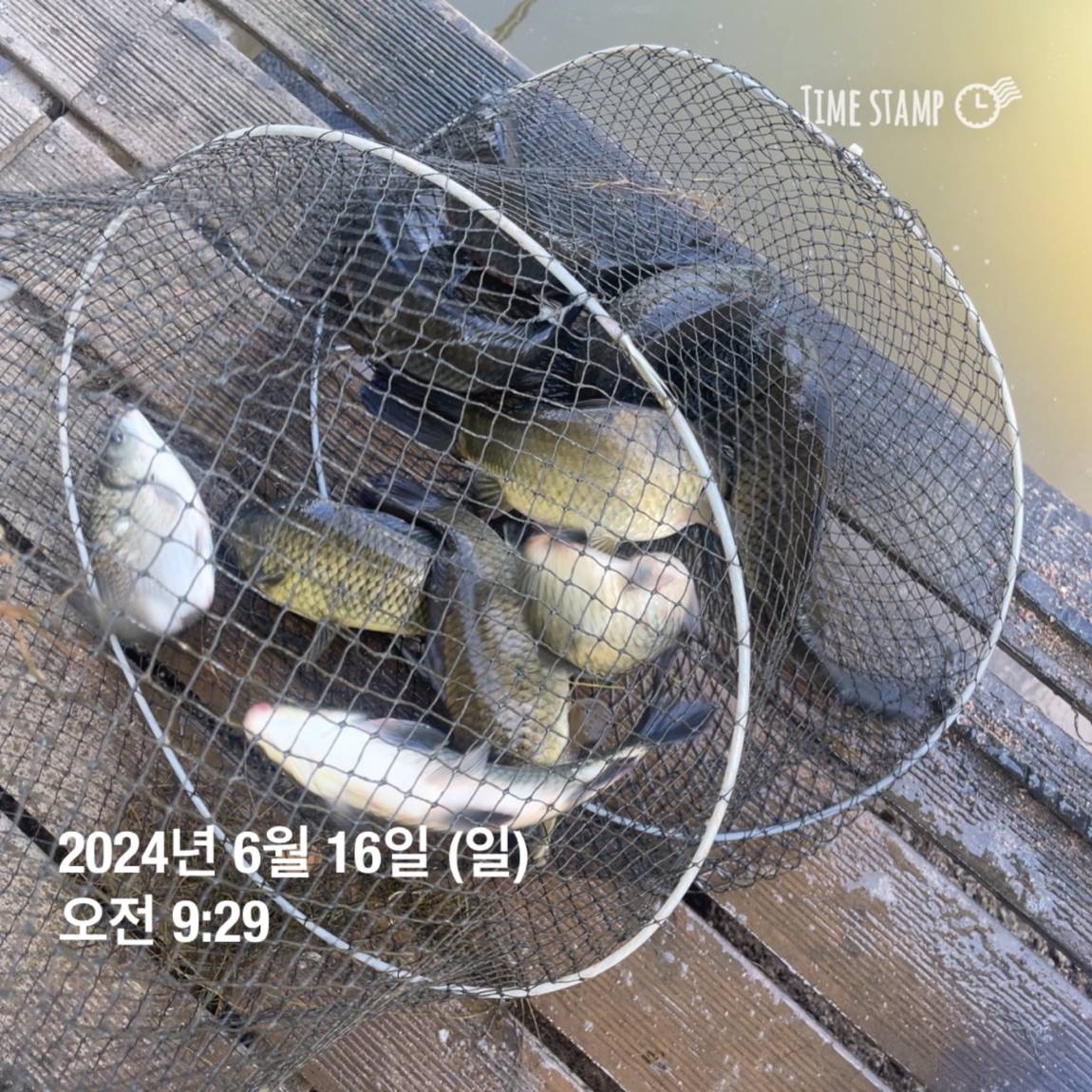 KakaoTalk_20240616_130341828_22.jpg