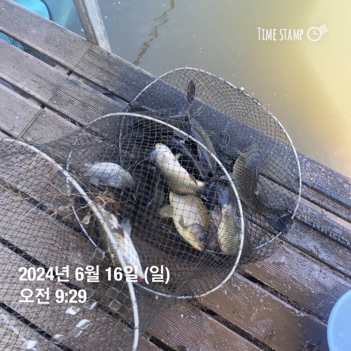KakaoTalk_20240616_130341828_21.jpg