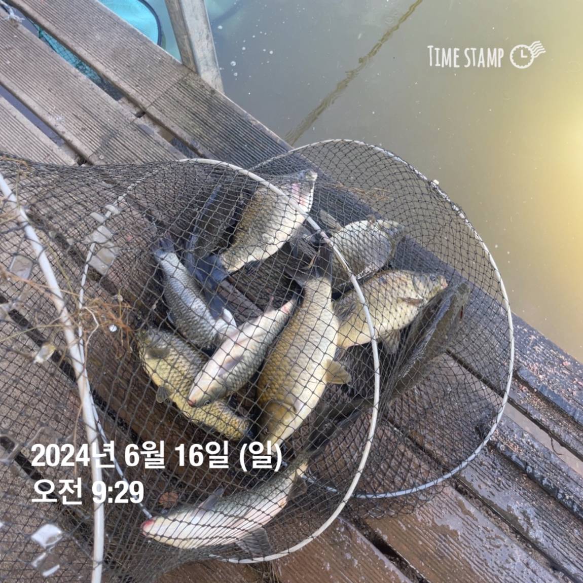 KakaoTalk_20240616_130341828_23.jpg