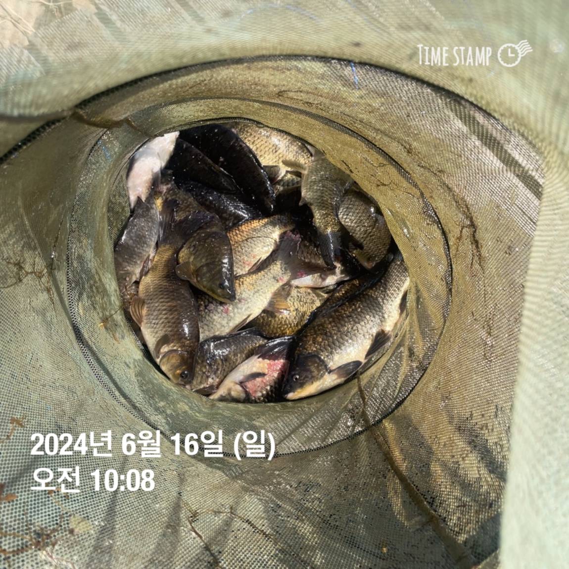KakaoTalk_20240616_130457903_01.jpg