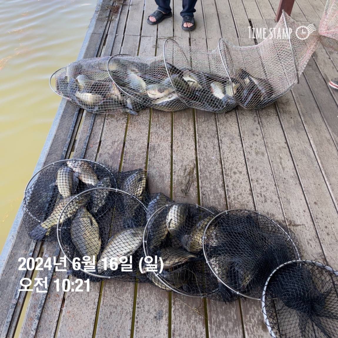 KakaoTalk_20240616_130457903_05.jpg