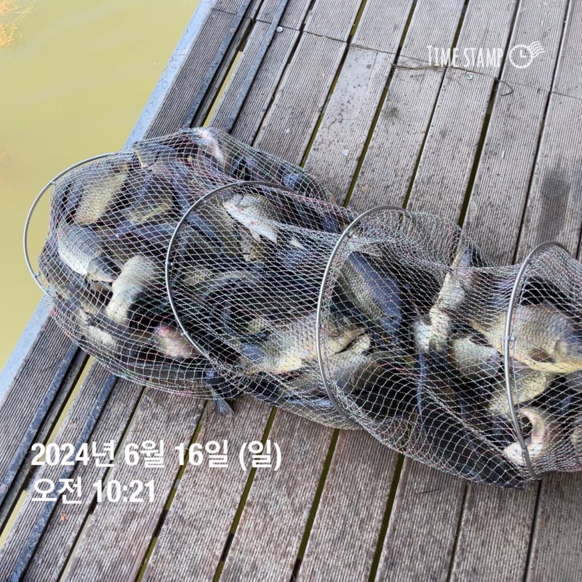 KakaoTalk_20240616_130457903_09.jpg