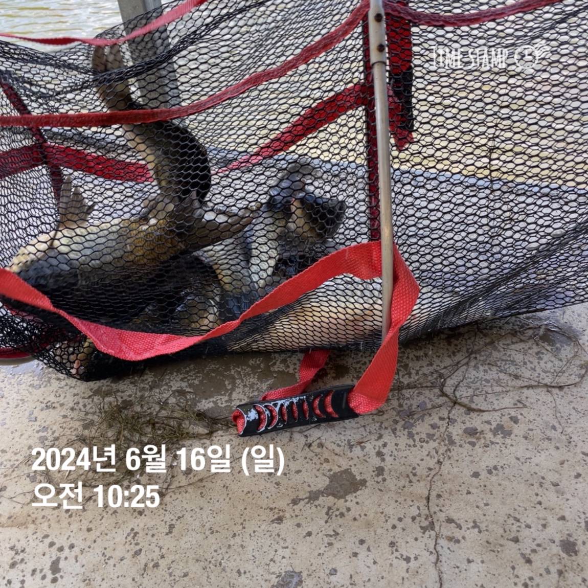 KakaoTalk_20240616_130457903_15.jpg