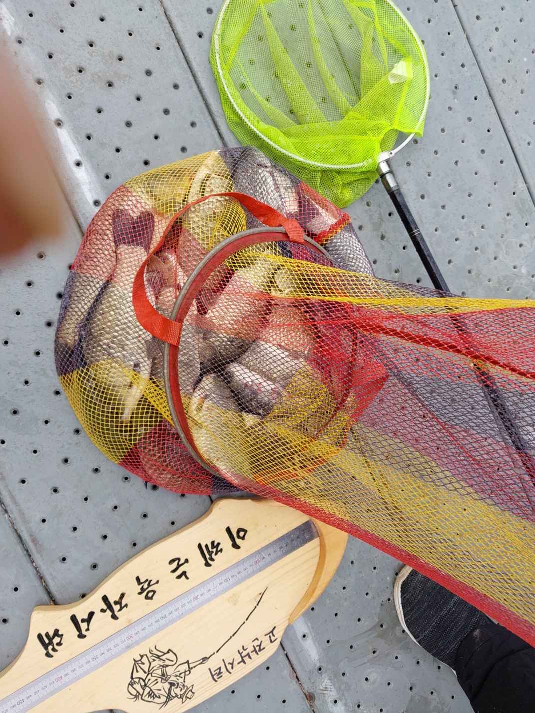 KakaoTalk_20240615_101439024_16.jpg