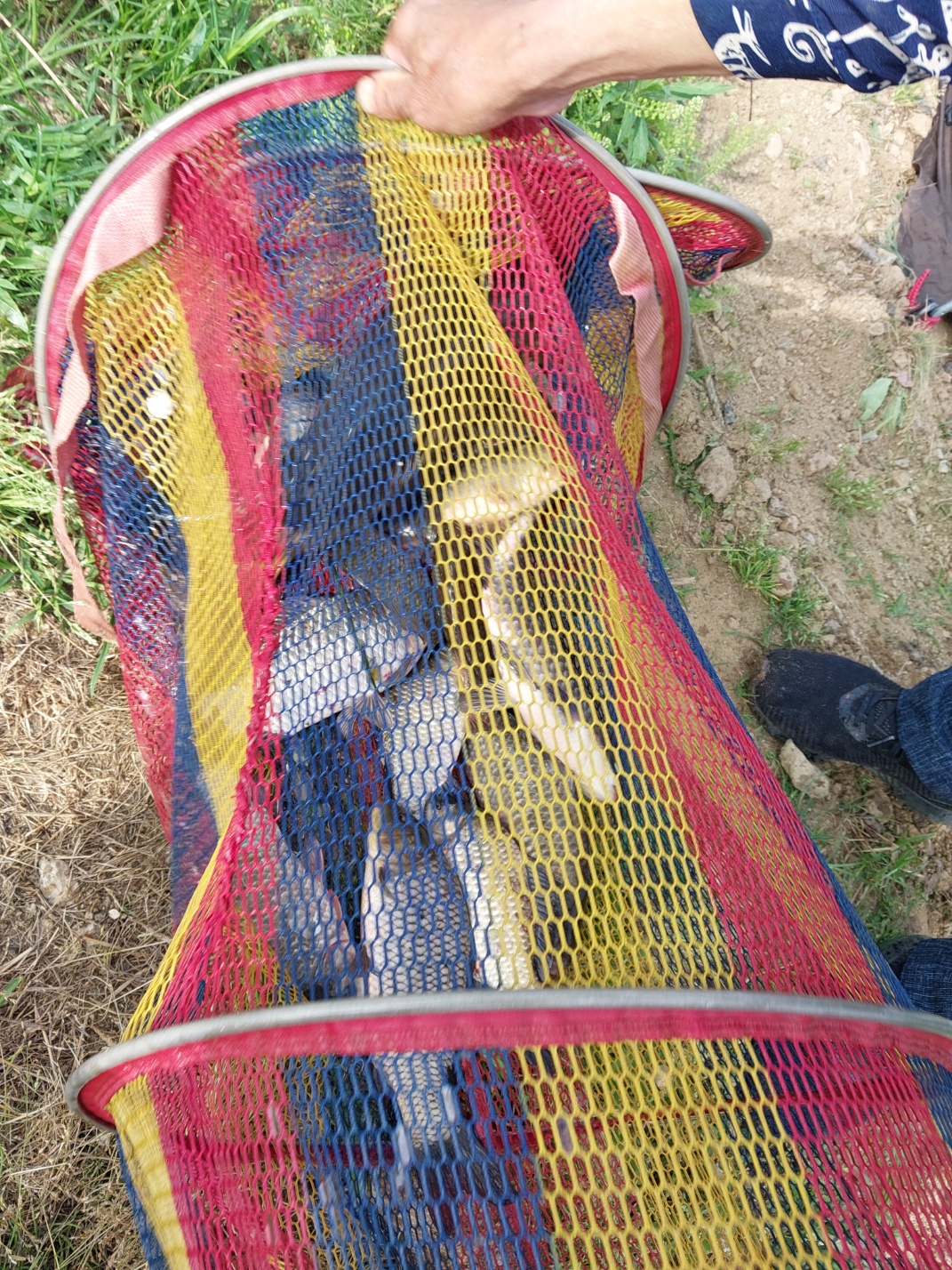 KakaoTalk_20240615_101439024_11.jpg