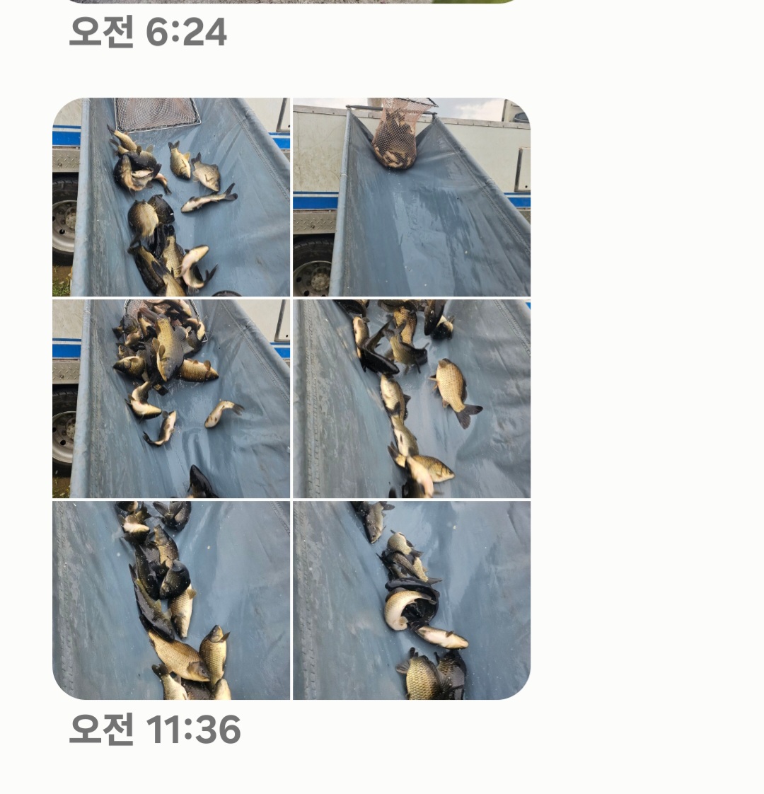 Screenshot_20240615_123347_Messages.jpg