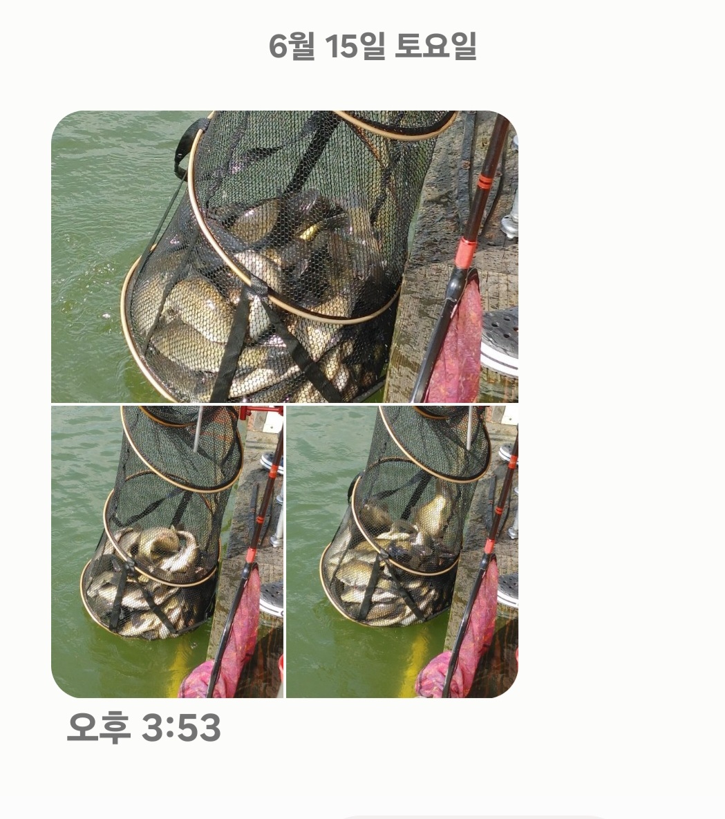 Screenshot_20240615_163240_Messages.jpg